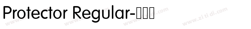 Protector Regular字体转换